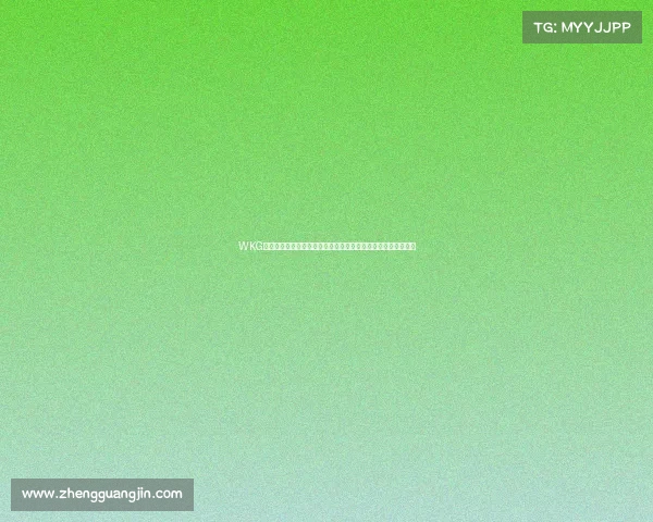 WKG格斗赛事热血开战全球顶尖高手齐聚擂台激战对决荣耀巅峰之战