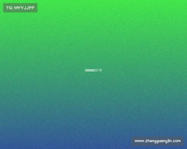 中国男排视频2019