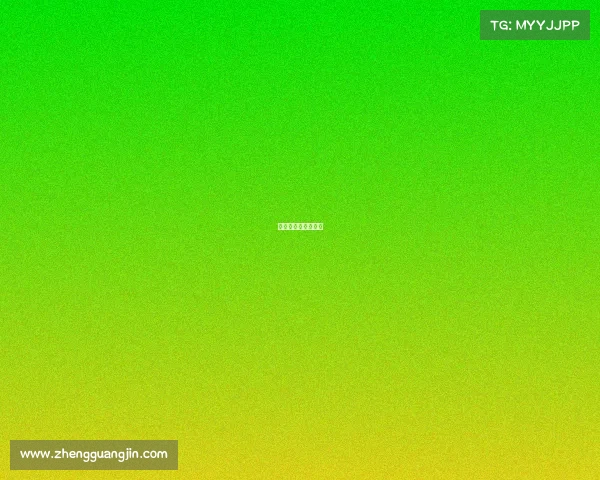 中国职业搏击运动员