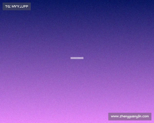 纽西篮联赛事最新消息